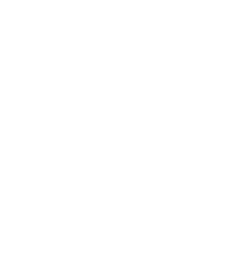 Local service icon